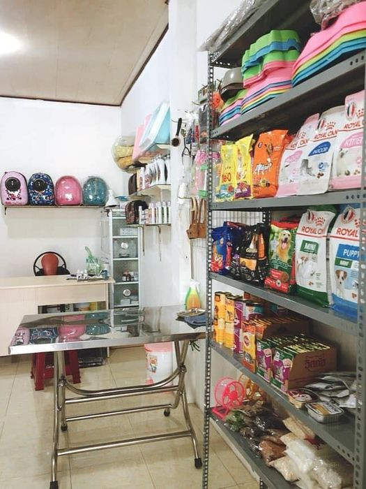 Bác sĩ thú y chăm sóc cho một chú chó tại Trung tâm Y tế Thú cưng Hala