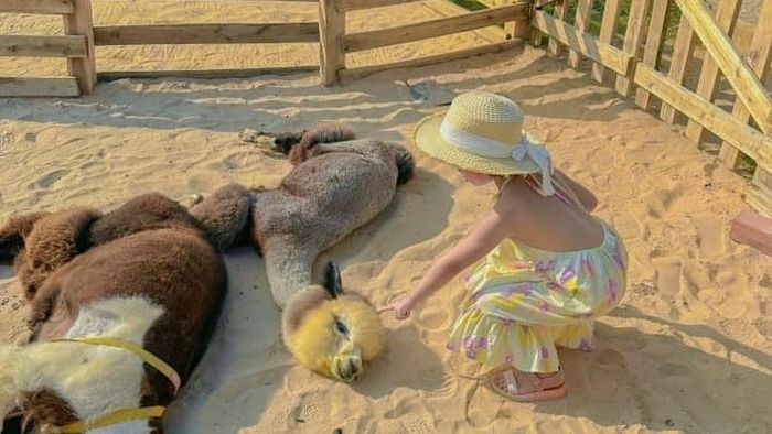 Bãi biển cát trắng mịn màng tại khu vực Hanna Beach