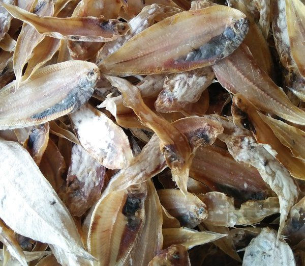 Các loại cá khô đặc sản làm quà tại Mũi Né