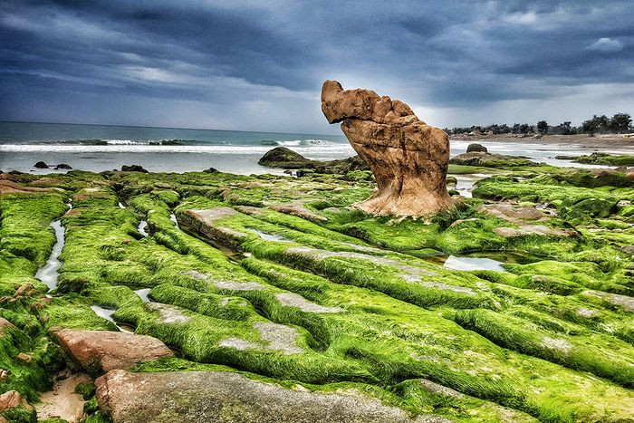 Cận cảnh những viên đá nhiều màu sắc và hình dạng độc đáo trên bãi biển Cổ Thạch