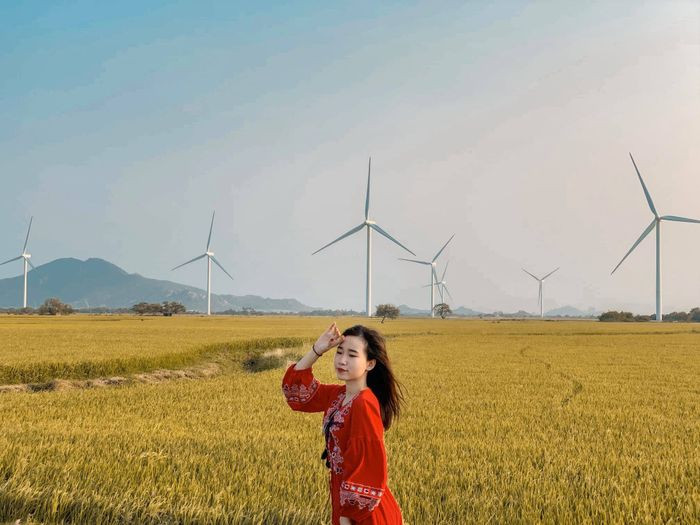 Cánh đồng điện gió Đầm Nại nhìn từ xa