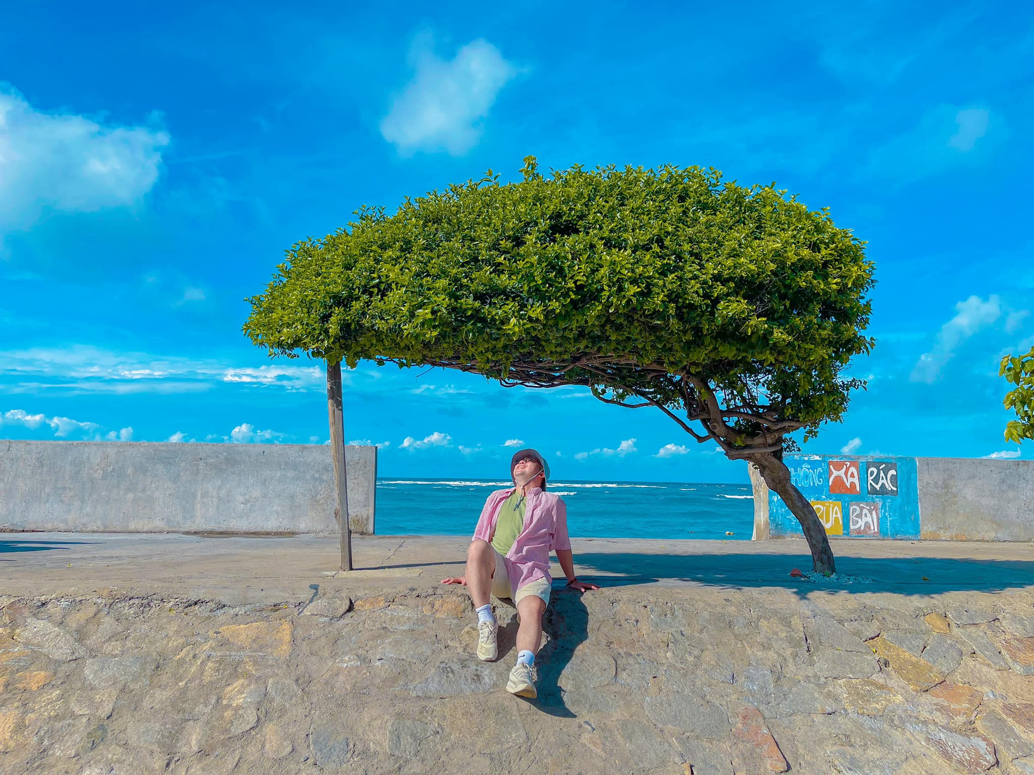 Cây cô đơn biểu tượng trên con đường ven biển đảo Phú Quý