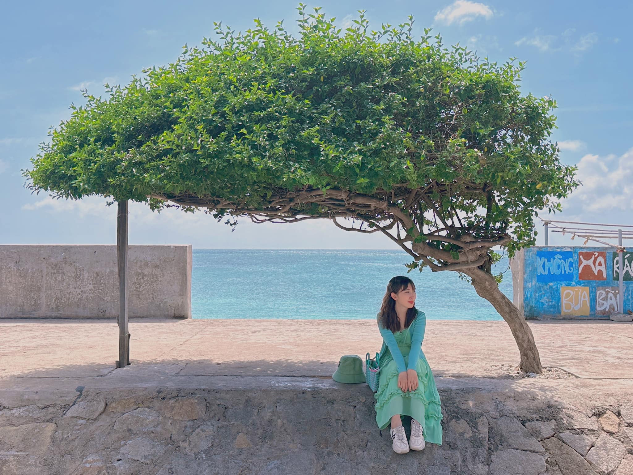 Cây cô đơn trên đảo Phú Quý ngày gió