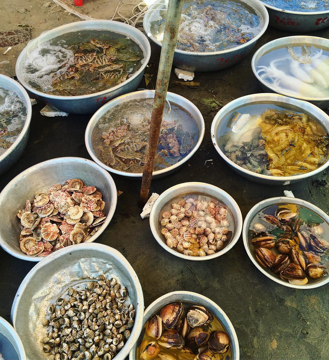 Chợ hải sản Mũi Né với các loại tôm cá tươi sống