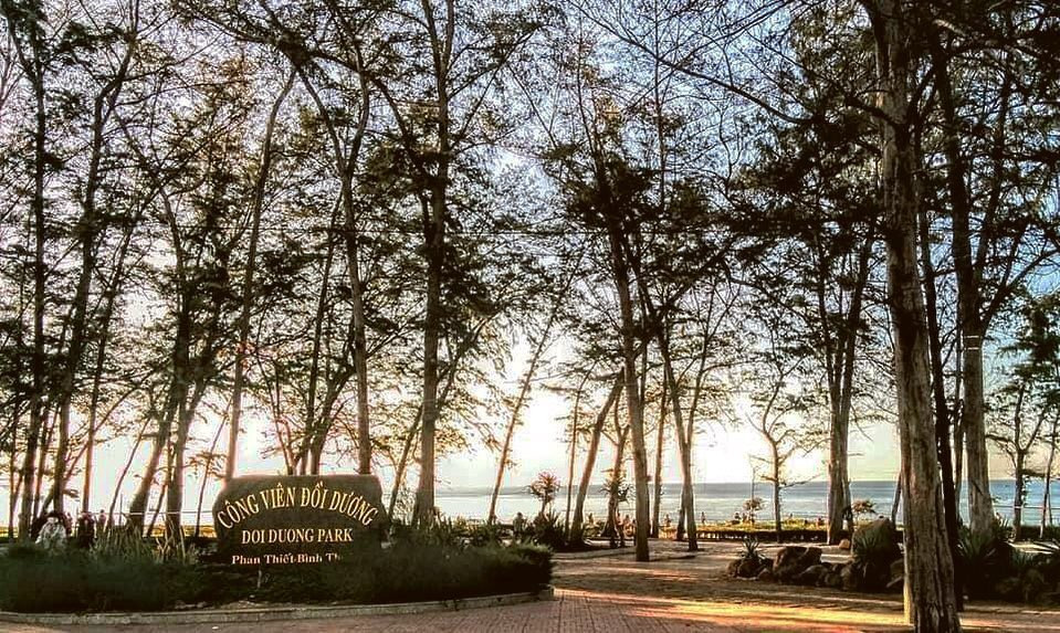 Công viên và bãi biển Đồi Dương Phan Thiết nhìn từ trên cao