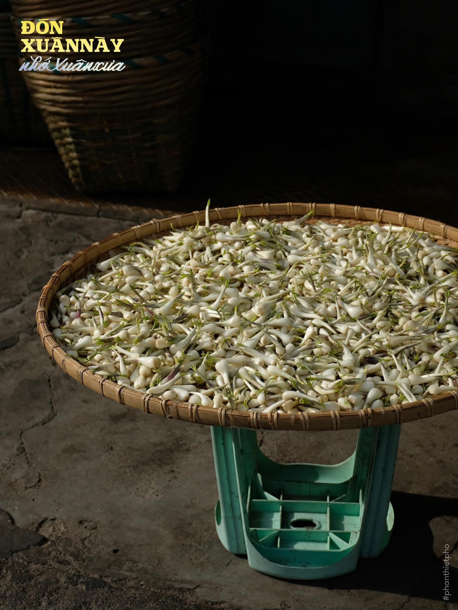 Củ kiệu muối - món ăn đặc trưng ngày Tết Phan Thiết