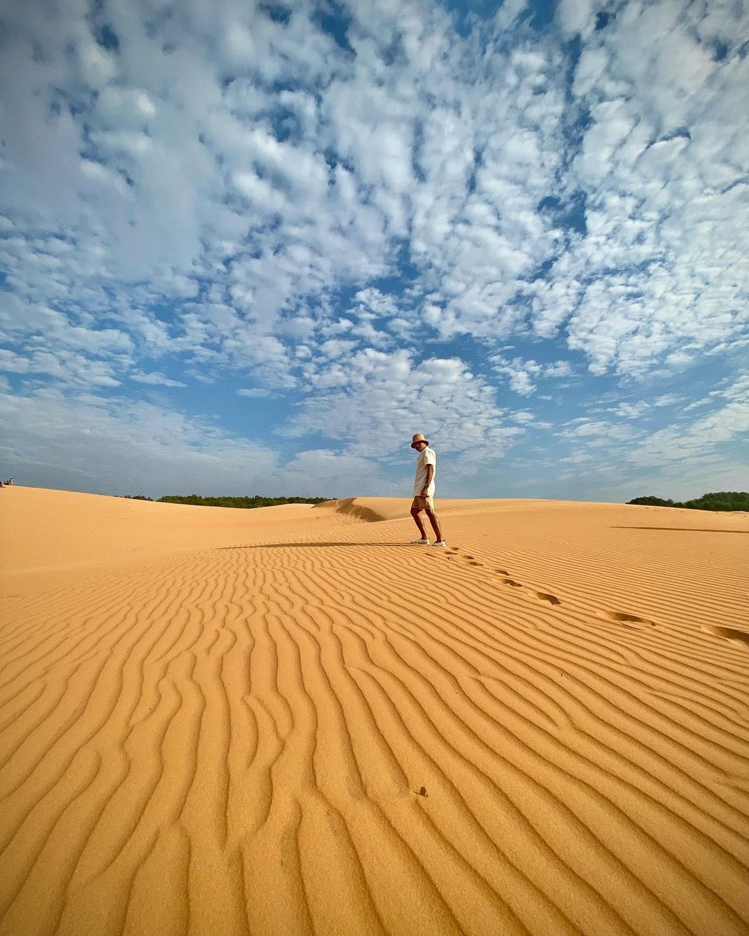 Đồi Cát Bay Mũi Né - điểm check-in không thể bỏ lỡ gần Phan Thiết