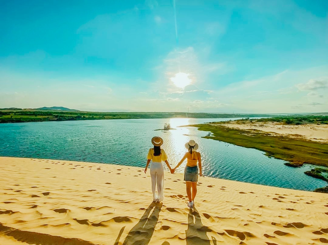 Hoa sen nở rộ trên mặt hồ Bàu Sen