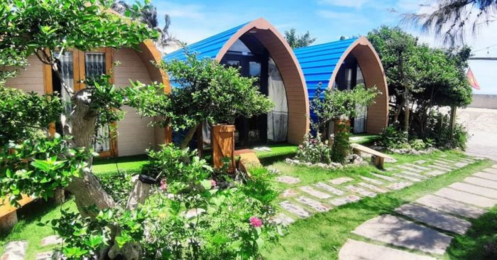 Không gian sân vườn mát mẻ tại Homestay LyTi Sea đảo Phú Quý