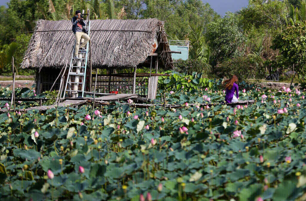 Khung cảnh bình dị tại Đầm sen Tam Đa, điểm hẹn lý tưởng ở Quận 9