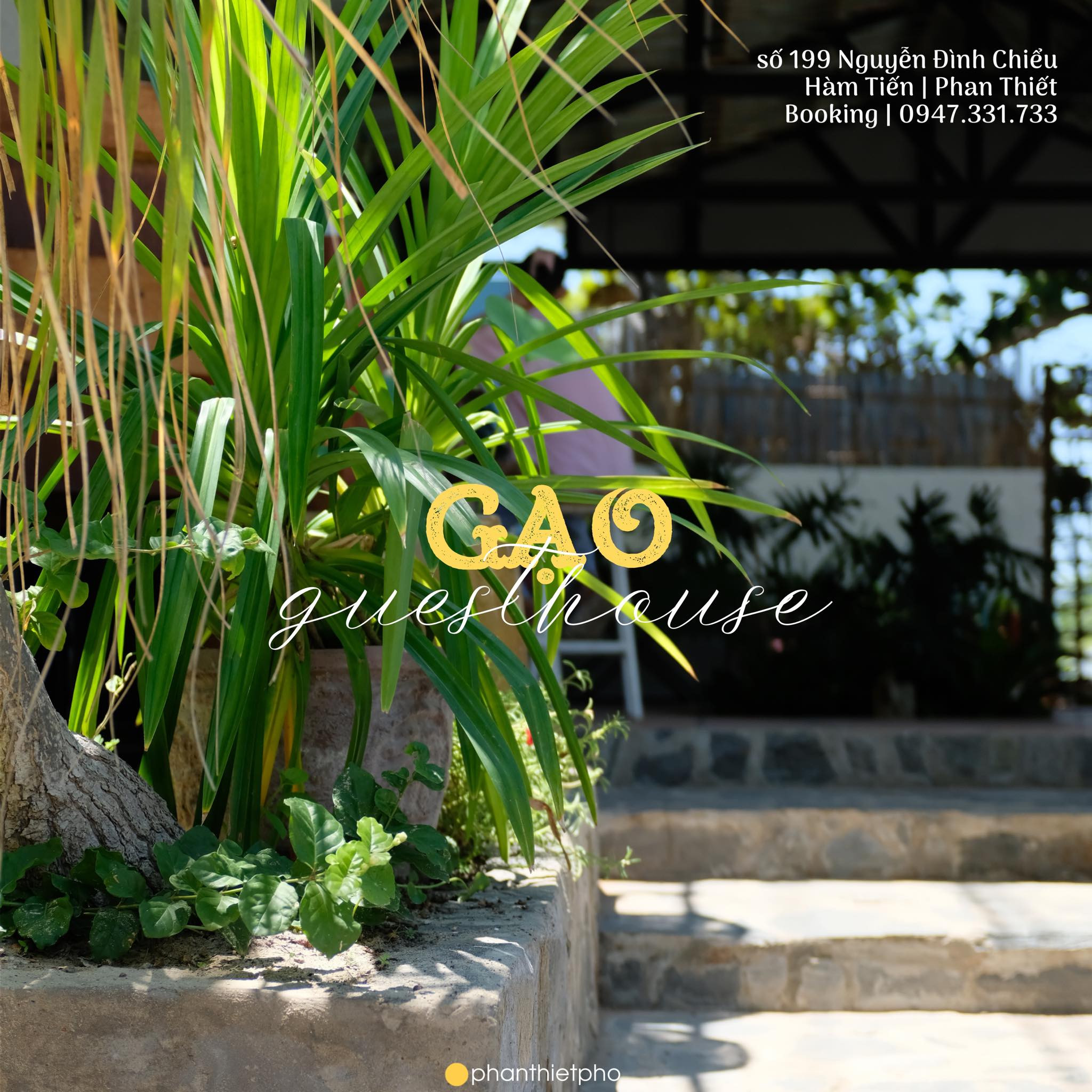 Khuôn viên xanh mát tại Gạo guesthouse Mũi Né