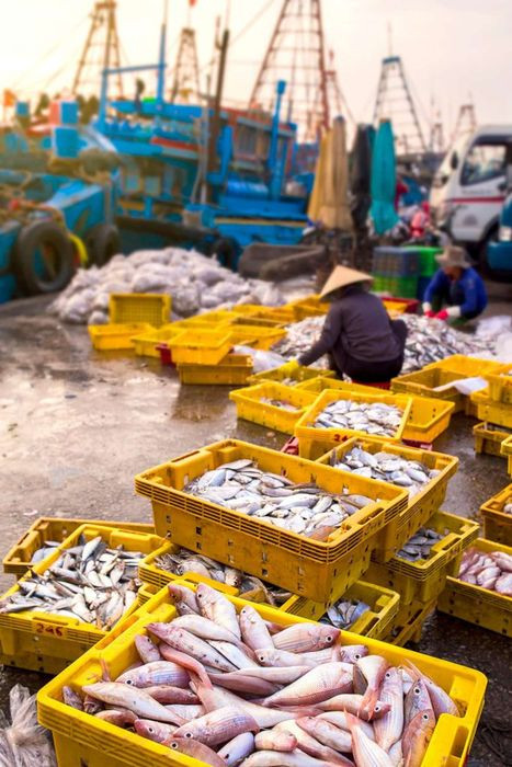 Mua hải sản tươi ngon tại chợ địa phương Lagi