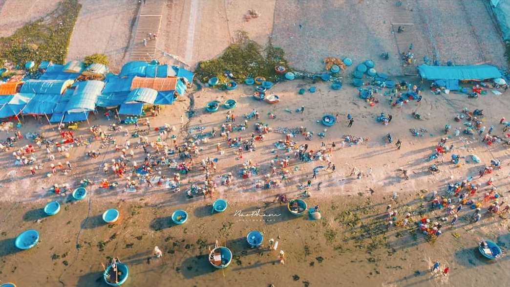 Mua hải sản tươi trực tiếp từ ghe thuyền tại Làng Chài Mũi Né