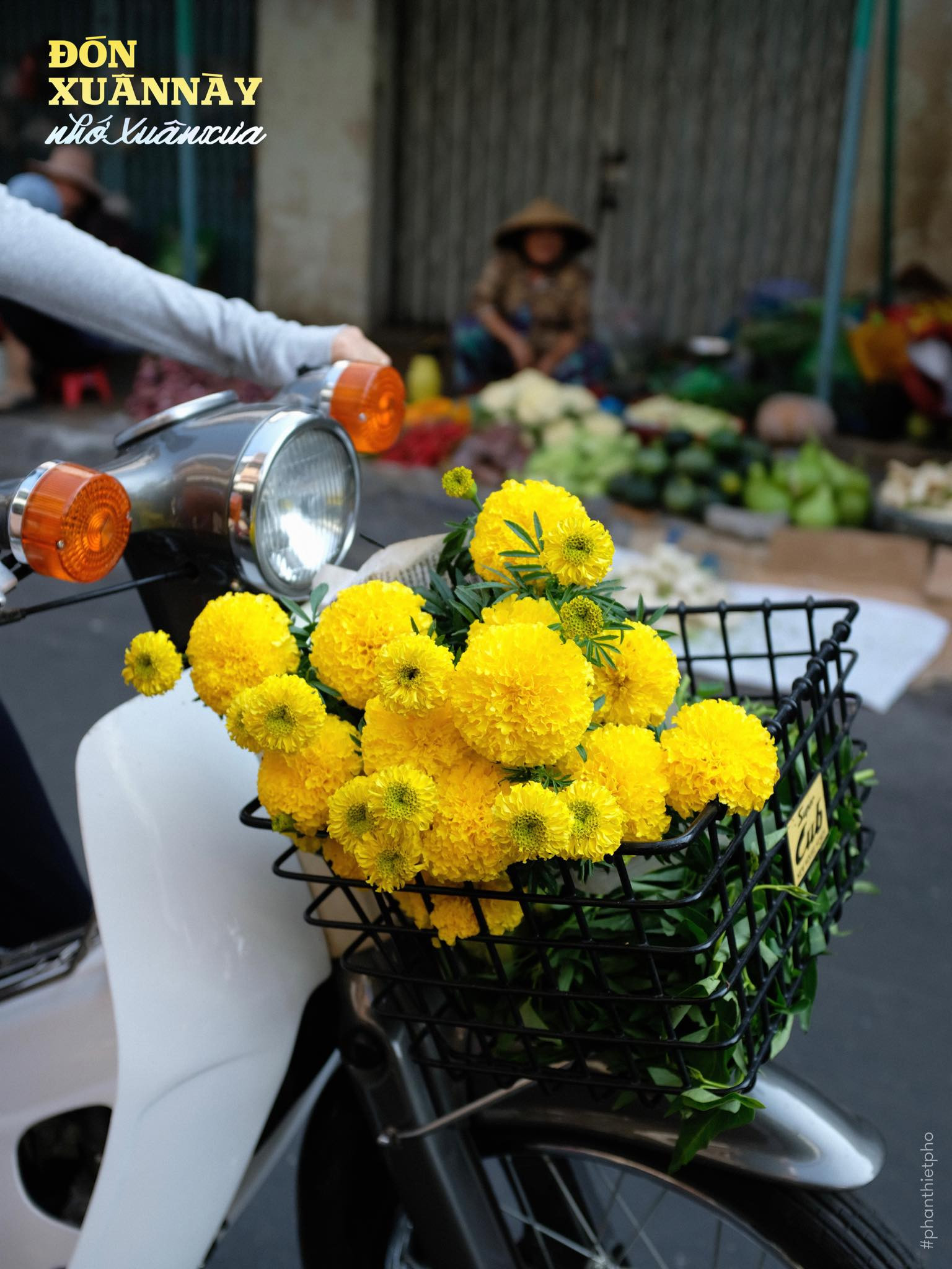 Người dân Phan Thiết chọn mua hoa trang trí nhà cửa đón Xuân