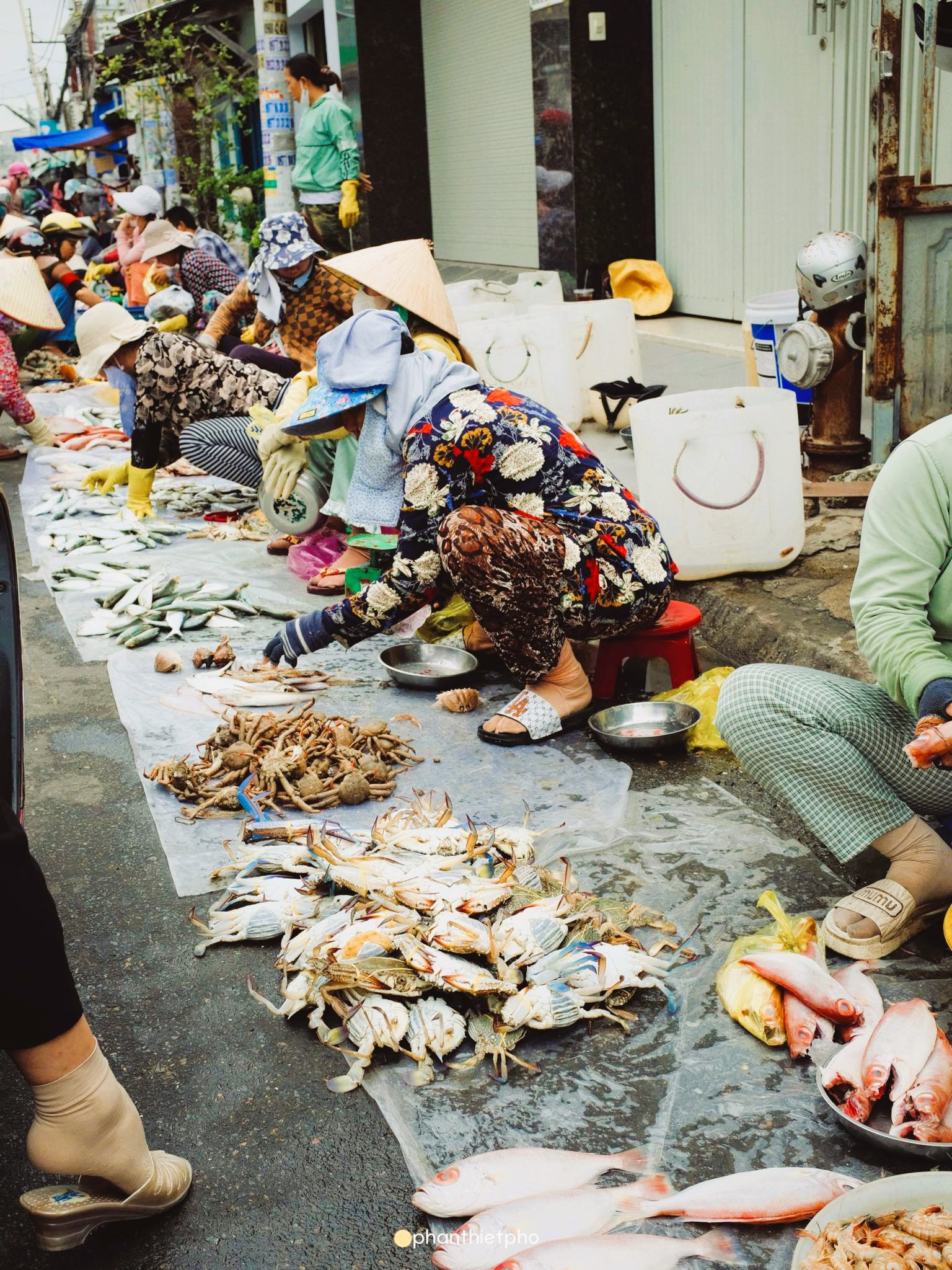 Những loại cá biển tươi ngon được bày bán phong phú tại chợ Cẩm Xìn Phan Thiết