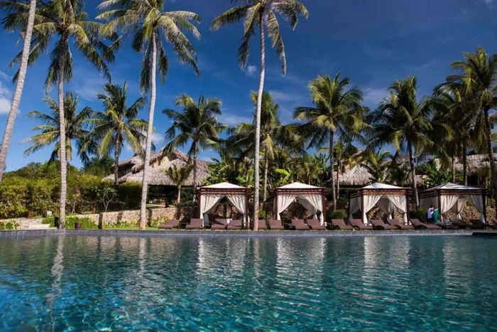 Quang cảnh resort Aroma Beach Resort Spa với hồ bơi và cây xanh