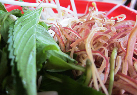 Rau sống ăn kèm bún bò Phan Thiết tươi ngon