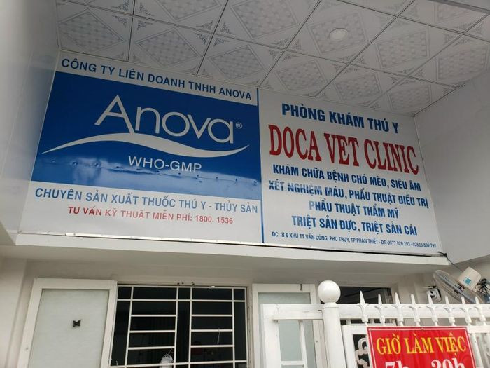 Thú cưng đang được khám sức khỏe tại Phòng Khám Thú Y DOCA Phan Thiết