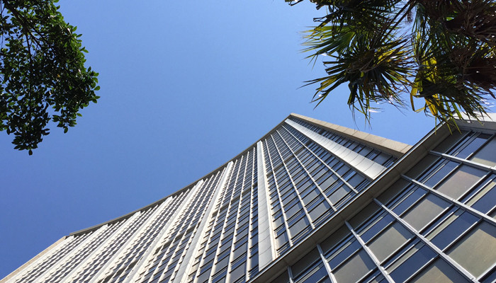 Sử dụng cây xanh làm khung ảnh cho bất động sản