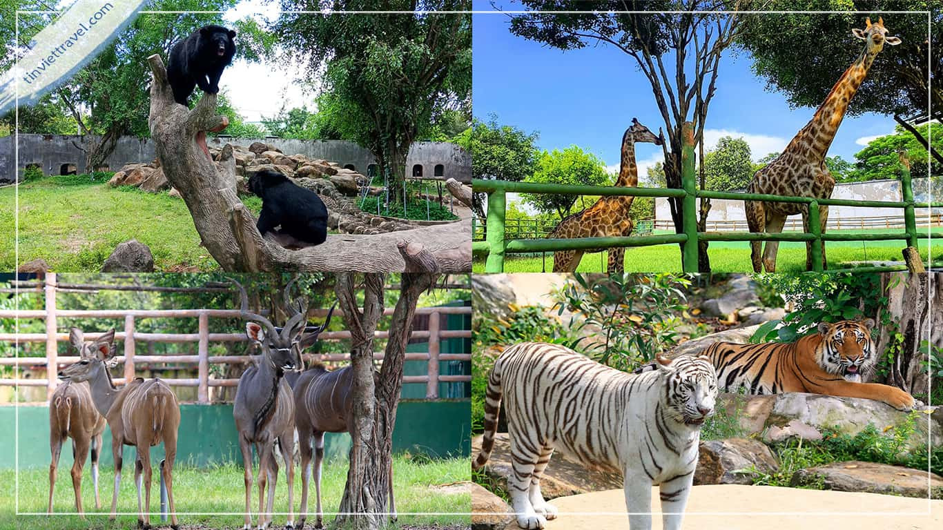 Du khách tham quan vườn thú đa dạng loài tại Vườn Xoài Đồng Nai