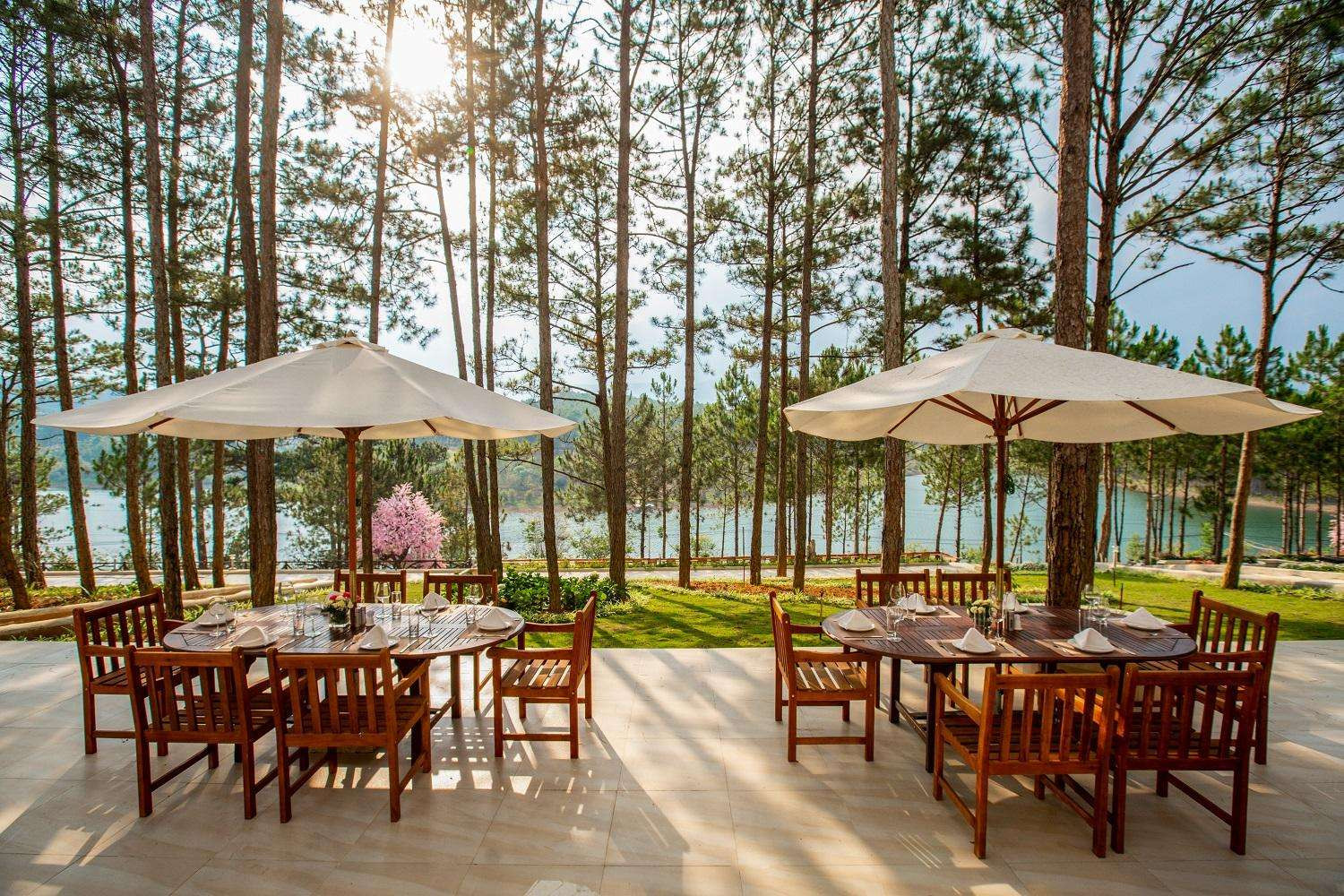 Hồ bơi và khu vực thư giãn tại Cereja Hotel &amp; Resort Dalat
