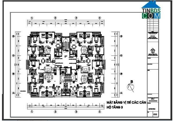Mặt bằng tổng thể và chi tiết căn hộ chung cư Số 6 Đội Nhân