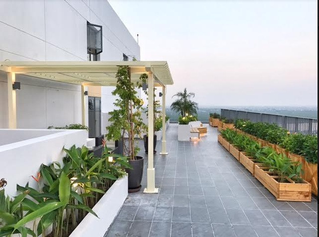 Sân thượng xanh mát của Căn hộ chung cư 62