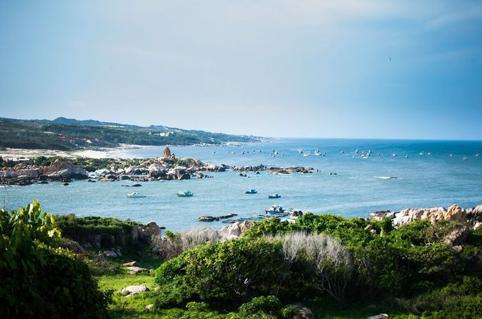 Bãi biển Thuận Quý với bờ cát trắng và rừng thông bao quanh, mang vẻ đẹp hoang sơ giữa Mũi Né, TP. Phan Thiết.