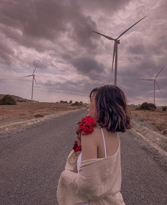 Cánh đồng quạt gió Tuy Phong Bình Thuận nhìn từ xa với nhiều tuabin trắng