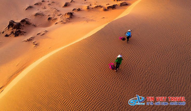 Đồi Cát Bay Phan Thiết hùng vĩ dưới ánh nắng ban mai với những đụn cát vàng óng ả.