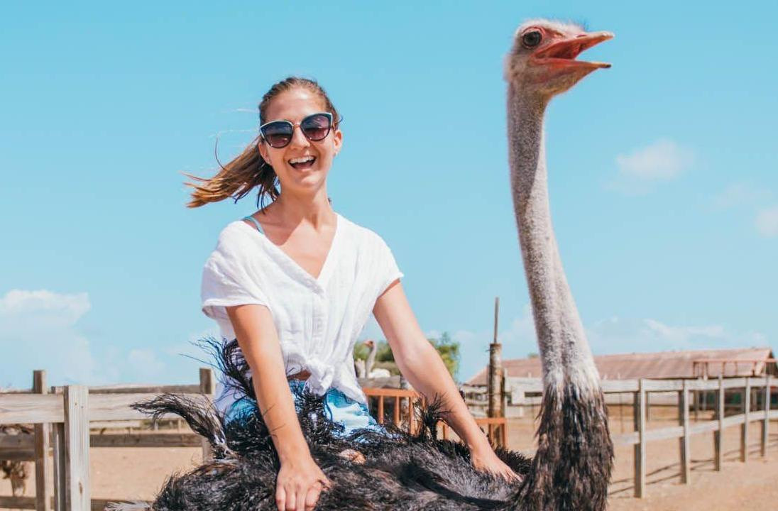 Du khách cưỡi đà điểu trên đồi cát trắng Bàu Trắng