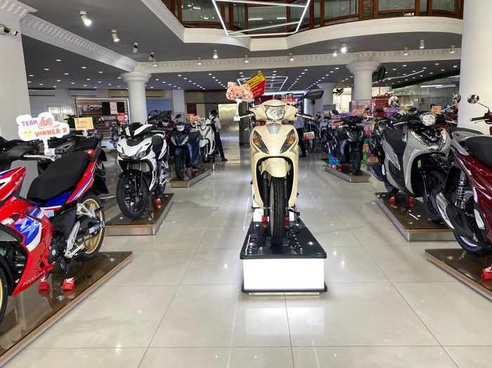 Không gian showroom hiện đại của Hệ Thống HEAD Gia Hoà