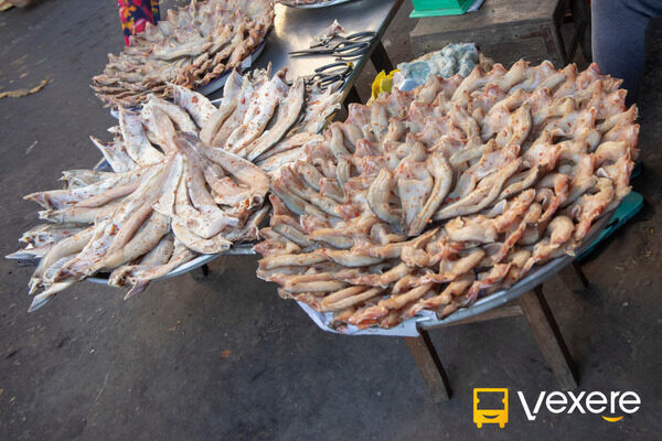 tphcm đi chùa bà châu đốc bao nhiêu km