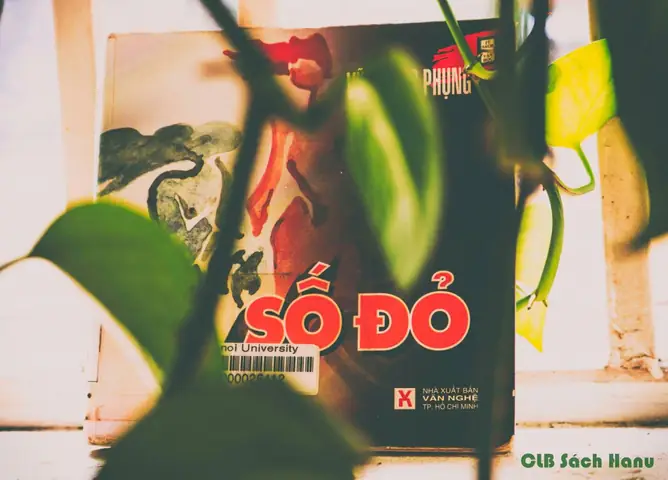 Bà Phó Đoan Là Ai