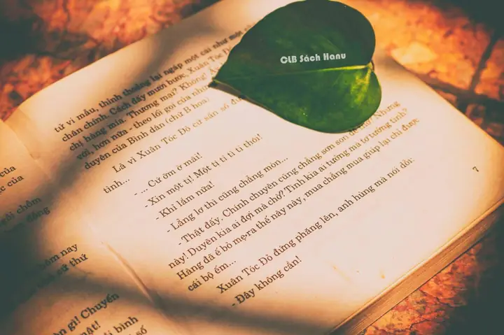 Bà Phó Đoan Là Ai