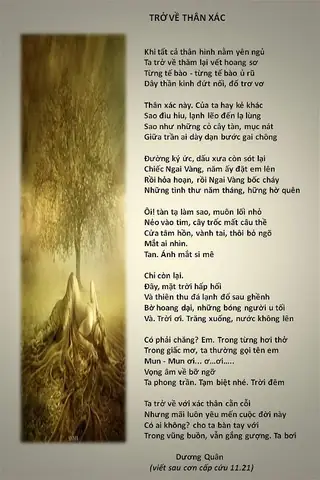 Khám Phá Sức Hút Của Bài Hát Em Là Ai Trong Cuộc Đời Này: Một Hiện Tượng Âm Nhạc