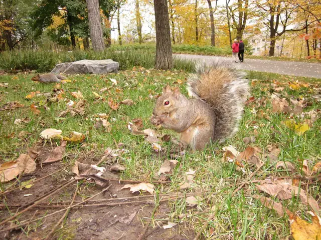 Bê-ên-xê-bun Là Ai? Khám Phá Nguồn Gốc Và Ý Nghĩa Cái Tên