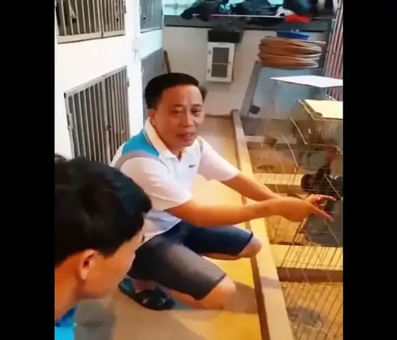 Theo Công An, Đối Tượng Bình "vổ" Là Giang Hồ Cộm Cán Có Số Má Ở Đất Thái Bình Với Các Hoạt Động Bảo Kê, Cờ Bạc Gây Mất An Ninh Trật Tự.