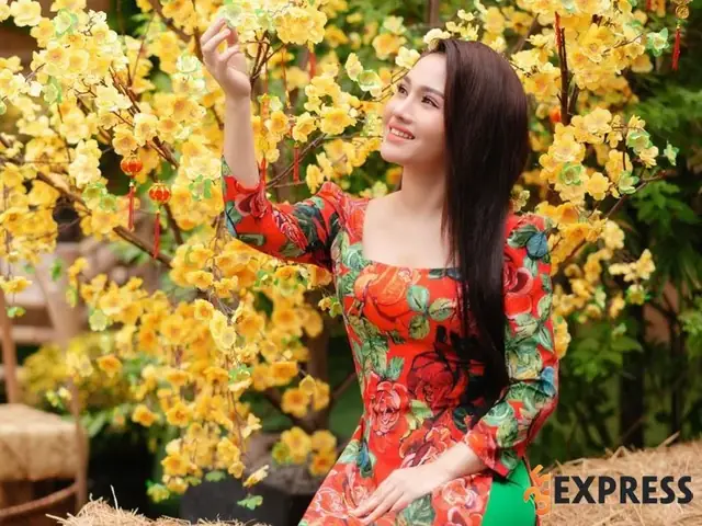 Sự Nghiệp Của Ca Sĩ Ngọc Diệu