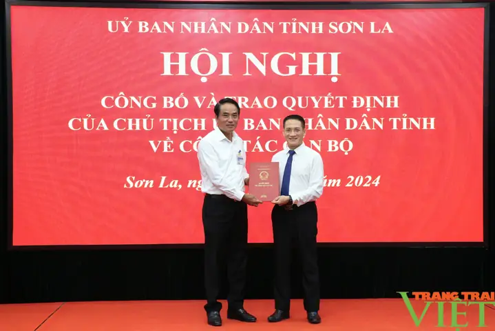 Tân Phó Chánh Văn Phòng Ubnd Tỉnh Sơn La Là Ai?- Ảnh 1.