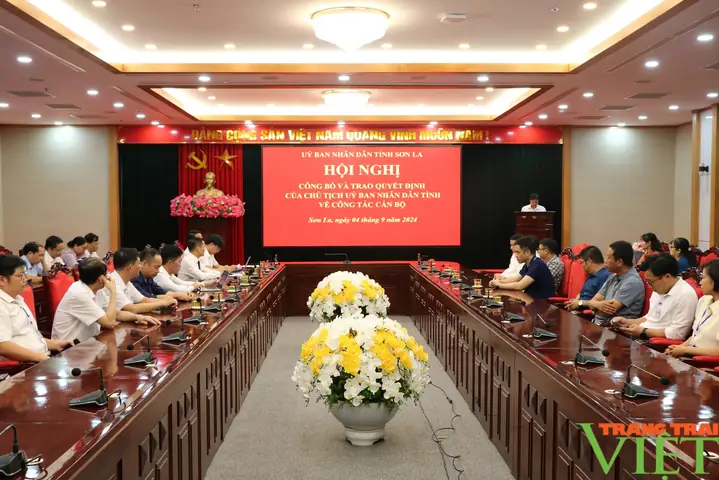 Tân Phó Chánh Văn Phòng Ubnd Tỉnh Sơn La Là Ai?- Ảnh 3.