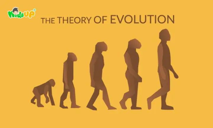 Những Điểm Then Chốt Trong Học Thuyết Darwin