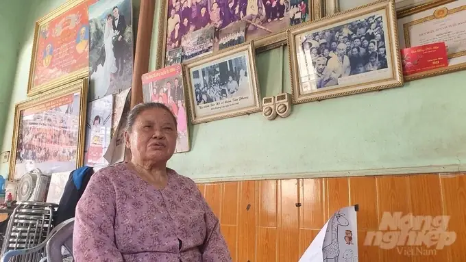 Gặp “chị Hai Năm Tấn” Trong Bức Ảnh Lịch Sử Bác Hồ Về Thăm Thái Bình