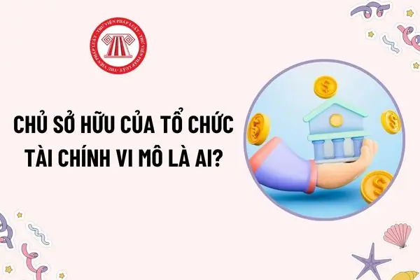 Chủ Sở Hữu Của Tổ Chức Tài Chính Vi Mô Là Ai?