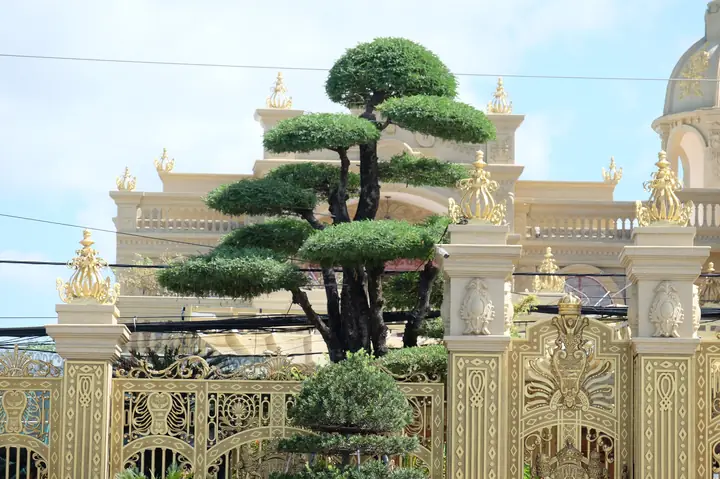 Lật Lại Vụ Án Thiện Soi Cùng Độ Khủng Của Căn Biệt Thự Dát Vàng - Ảnh 3. Lật Lại Vụ Án Thiện Soi Cùng Độ Khủng Của Căn Biệt Thự Dát Vàng - Ảnh 3.