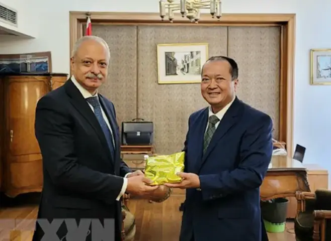 Đại Sứ Quán Việt Nam Là Ai: Chức Năng Và Vai Trò Quan Trọng Đại Sứ Quán Việt Nam Là Ai: Chức Năng Và Vai Trò Quan Trọng