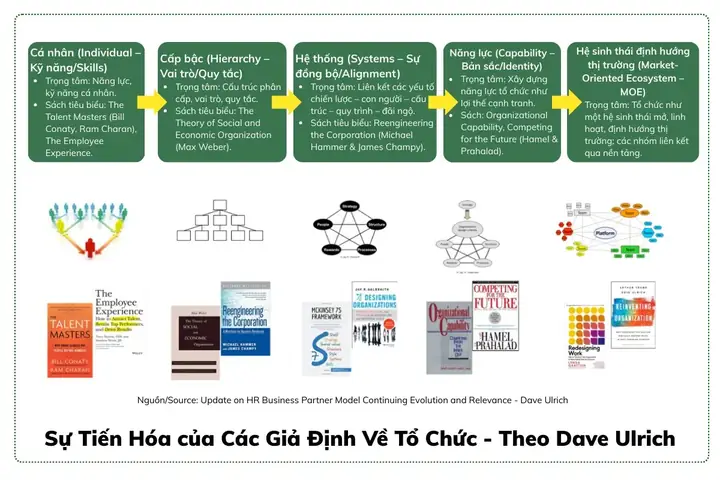 Hrbp Và Tổ Chức Tiến Hóa Thành Hệ Sinh Thái Năng Lực Hrbp Và Tổ Chức Tiến Hóa Thành Hệ Sinh Thái Năng Lực