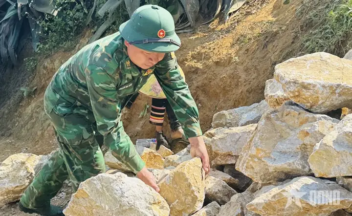 Đội Lái A7 Là Ai? Hiện Tượng Gây Chú Ý Trong Cộng Đồng Tài Chính