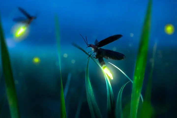 Theo Góc Độ Khoa Học Theo Góc Độ Khoa Học