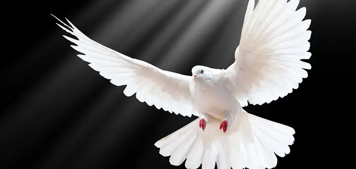 Đức Thánh Linh: Khám Phá Bản Thể Và Vai Trò Trong Đức Tin